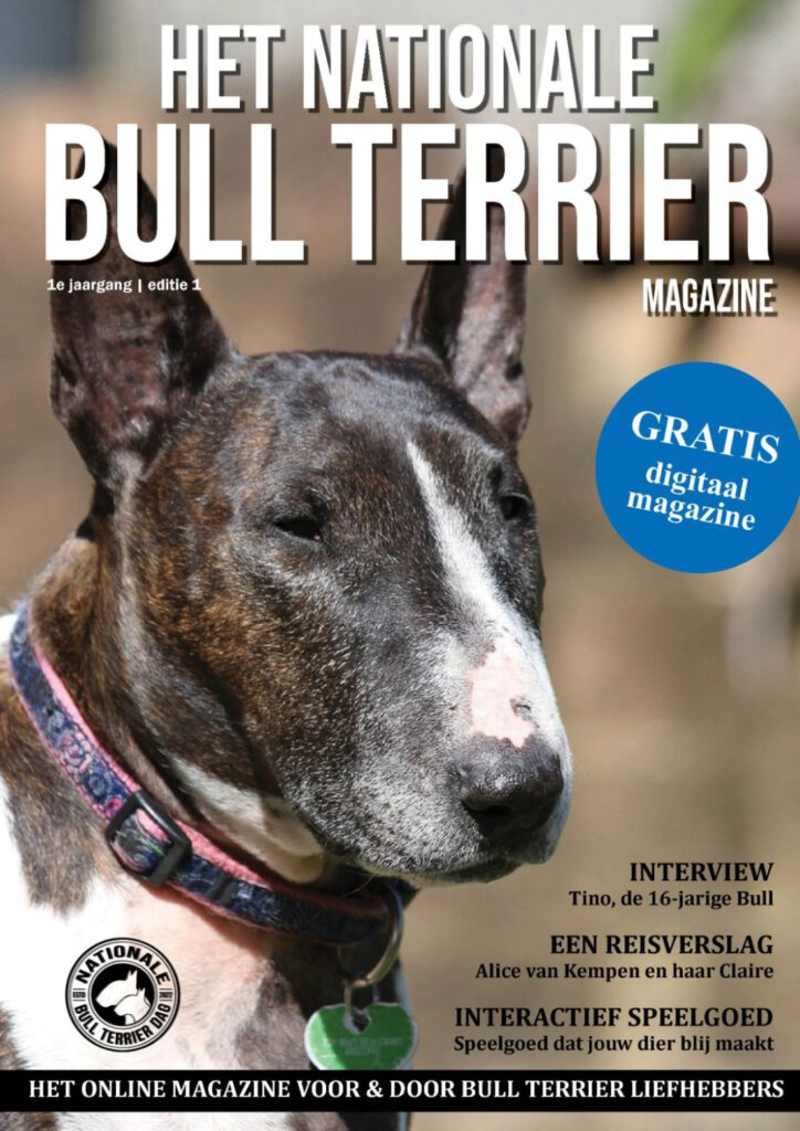 01 01 het nationale bull terrier magazine