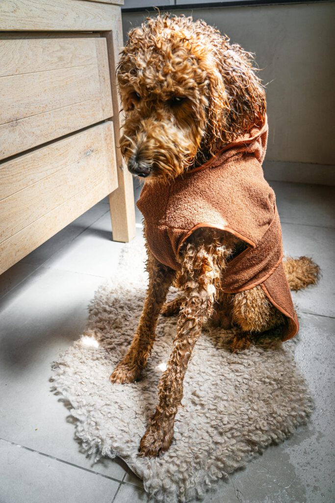 RAWR pets handgemaakt badjas badstof katoen cognac bruin aardetinten oranje terracotta labradoodle wassen douchen dog care verzorging