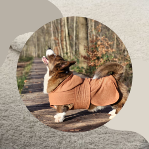 Badjas hond met capuchon diverse kleuren zand creme beige model badstof wafelkatoen RAWR pets