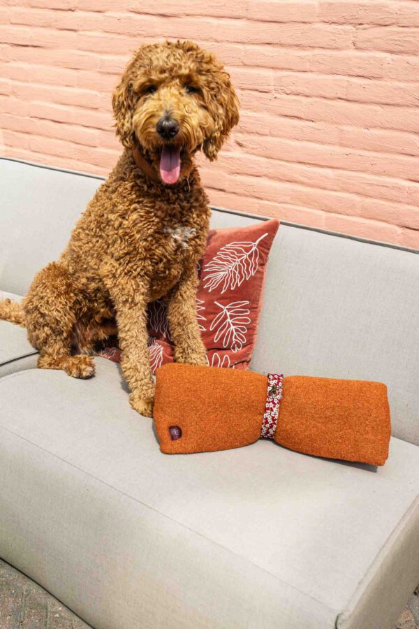 Travelrug Cognac terracotta katoen wol bloemen oranje rood wit dog hond travel rug kussen kleed RAWR pets