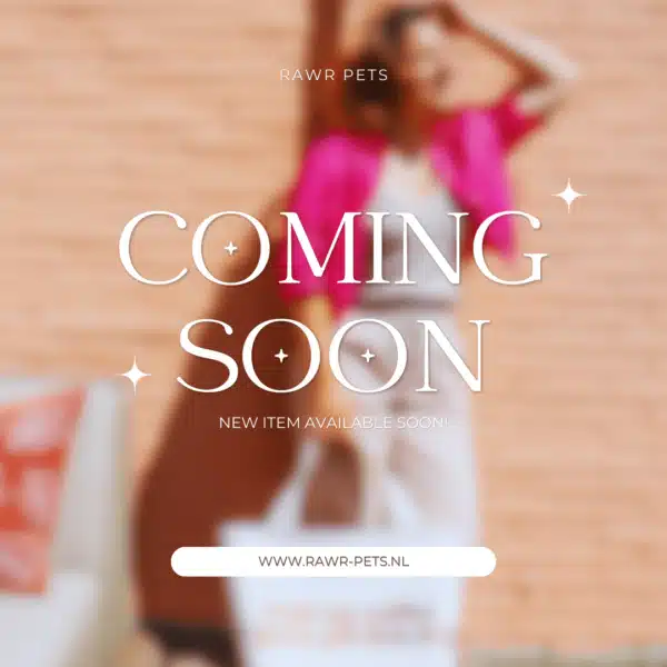 Coming Soon Image Launch New Collection item RAWR pets