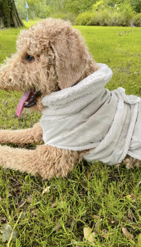 Limited Edition regenjas winterjas honden hond jas regen fur boucle RAWR pets