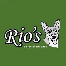 Rio's dierenspeciaalzaak Zandvoort