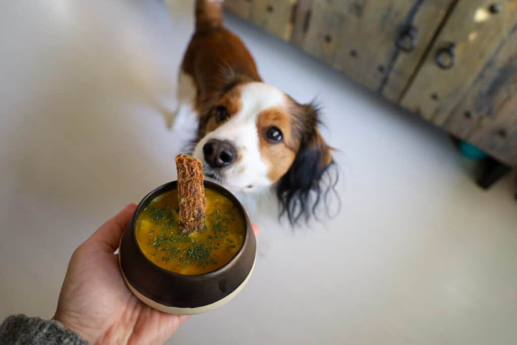 Ziggy honden maaltijd eten voeding inspiratie gezond groenten fruit vlees vis pompoen soep puree pate