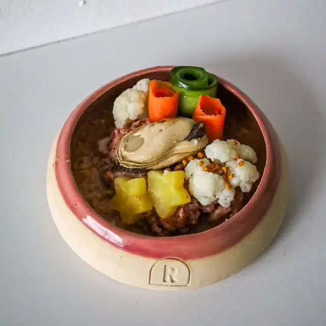 Ziggy honden maaltijd eten voeding inspiratie gezond groenten fruit vlees vis