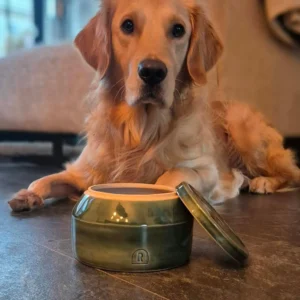 Handgemaakte koekjespot van keramiek in de kleur Rainforest groen van RAWR pets dog ceramics