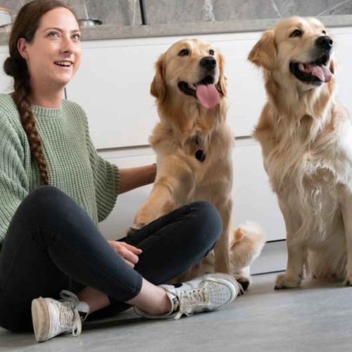 Kirsty is het baasje van Gerrit en Nelis, met haar Instagram account @gerritennelis deelt ze mooie foto's van de twee blonde labradoors